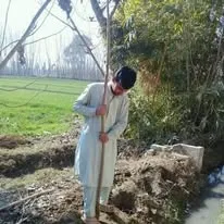 Green Seekers Activity